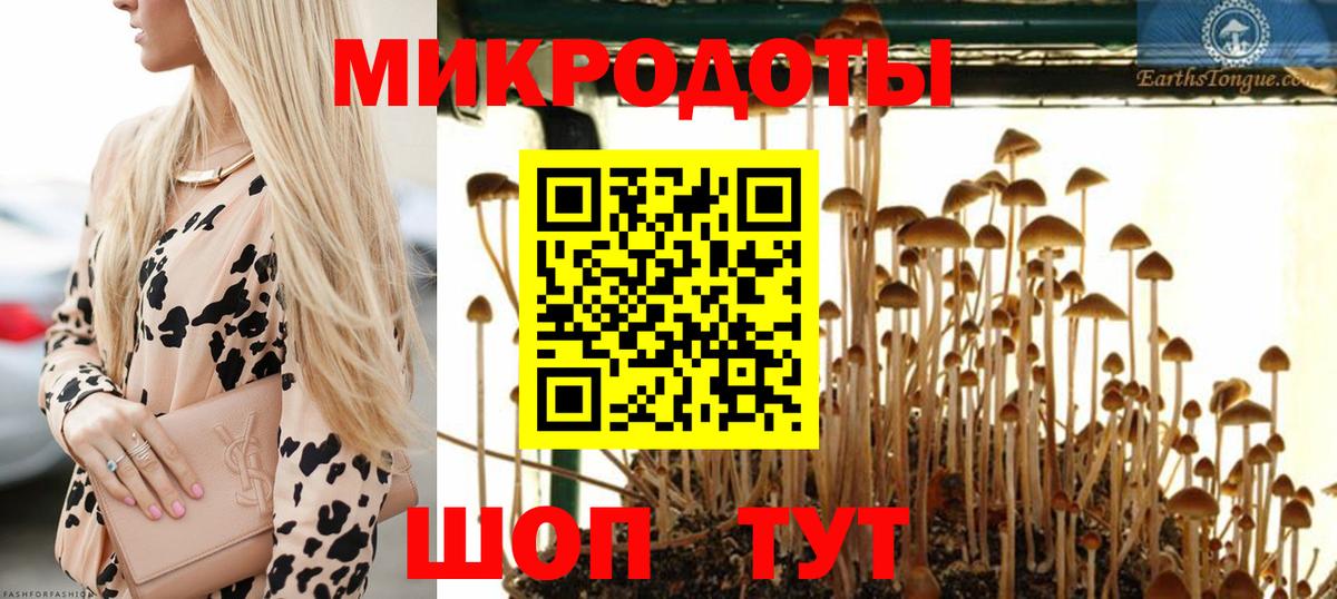 Псилоцибиновые грибы Psilocybine cubensis  Вход с VPN  Шадринск 